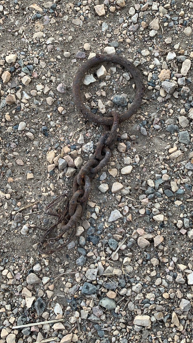 Scott Barr tweet media