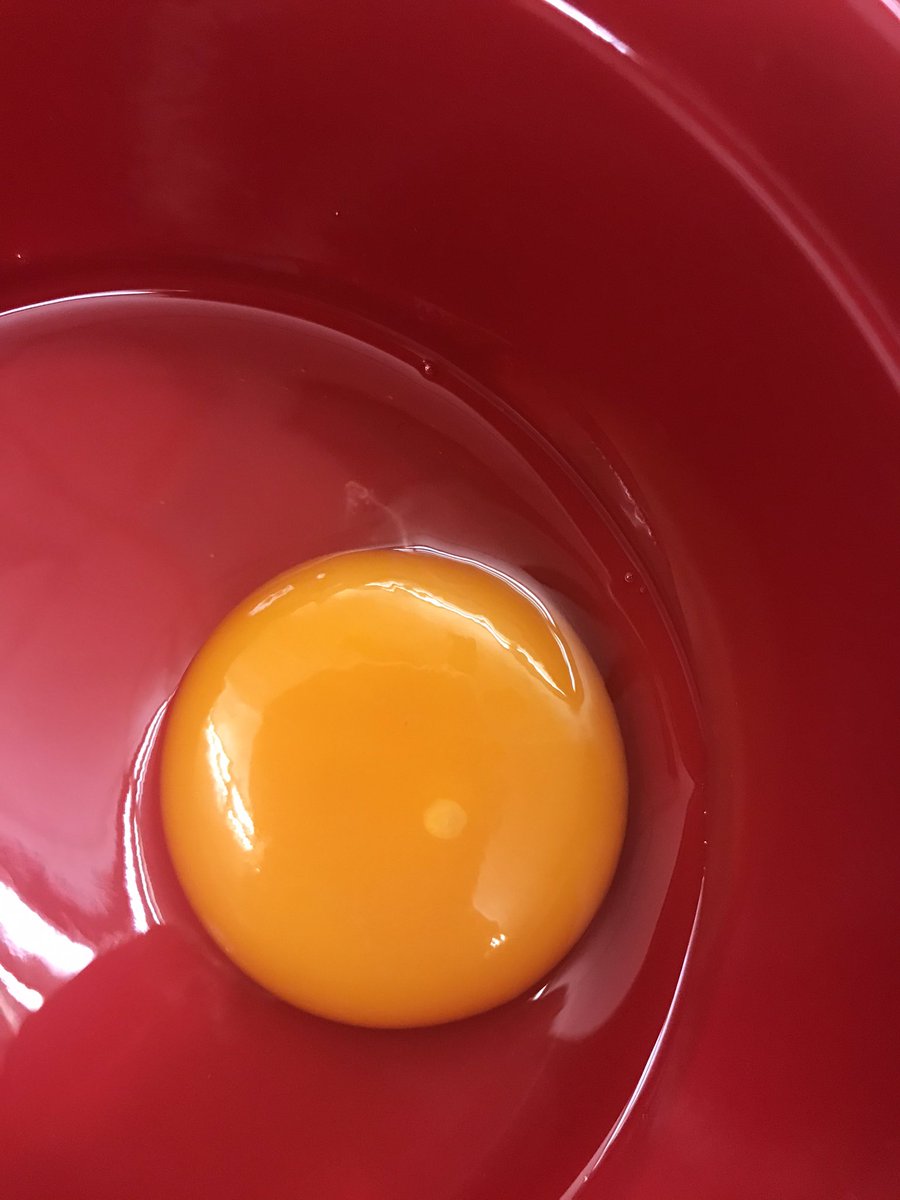 We had an “egg”citing science exploration today! Checking out and learning all about the parts of the egg! We even got a great look at an embryo spot! <a href="/UNCGMSPS/">Moss Street Partnership School</a>