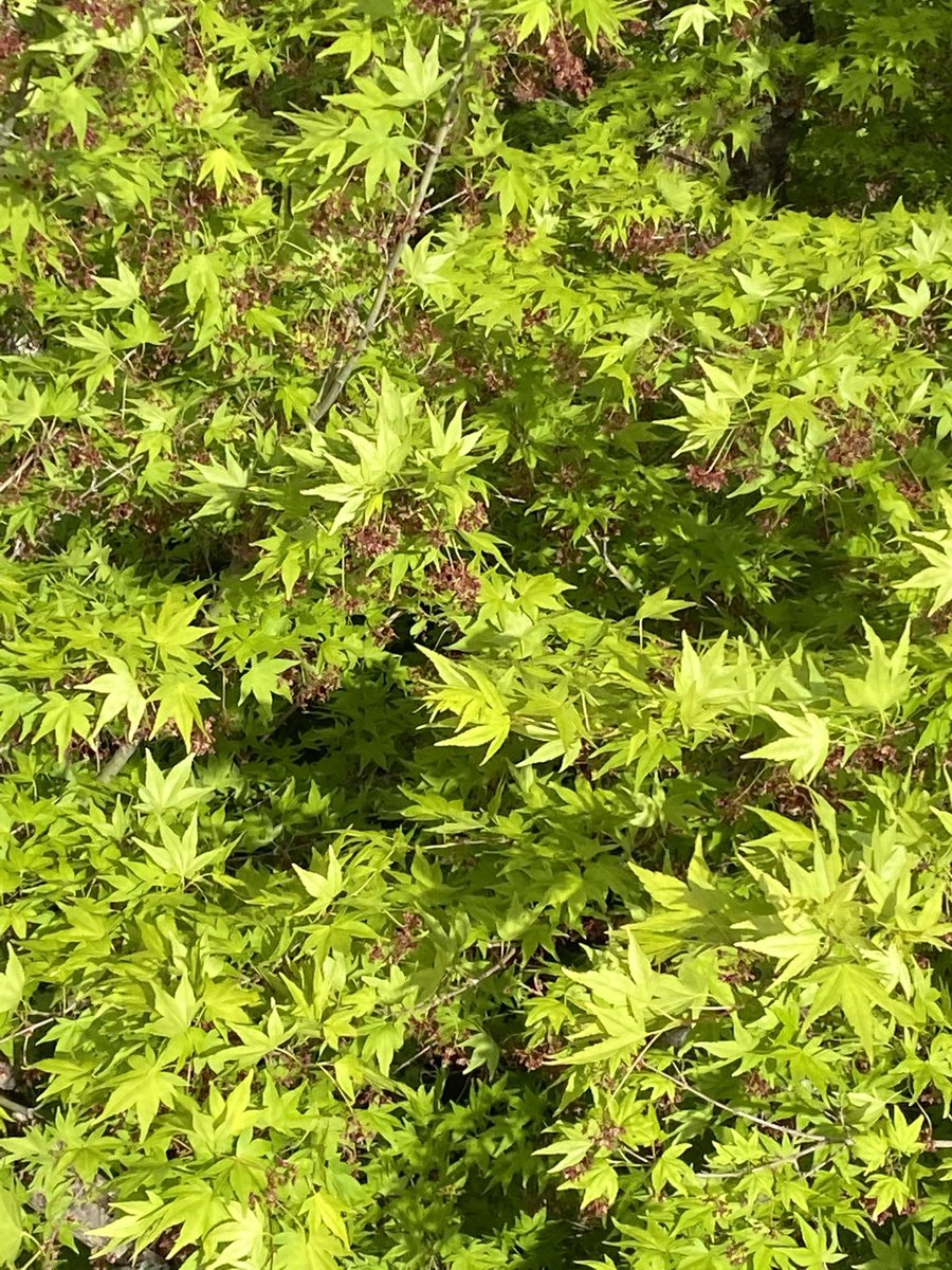 日光街道の最新渋滞情報 2ページ目 今日現在 リアルタイム情報 ナウティス 日光街道の最新渋滞情報 2ページ目 今日現在 リアルタイム情報 ナウティス