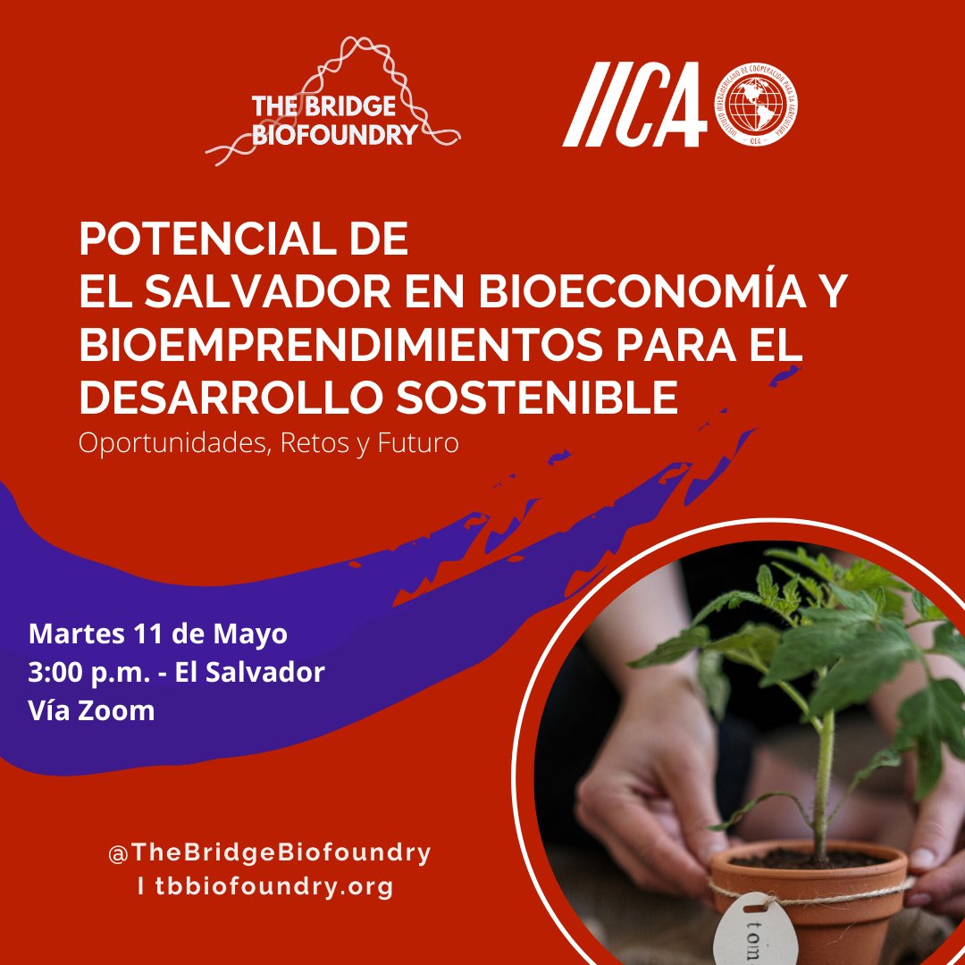 TBBiofoundry's tweet photo. 📣#Invitación!

Foro Potencial de El Salvador en #Bioeconomía y #Bioemprendimiento para el Desarrollo Sostenible Junto al @IICAnoticias

¿Te gustaría participar?
💻Nos vemos el próximo martes 11 de mayo a las 3PM hora Centroamérica

👉🖱Regístrate en https://t.co/7WD3BSyLoO https://t.co/0rwno1DYTj