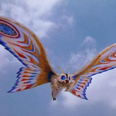 Big Bad Werewolf tweet media