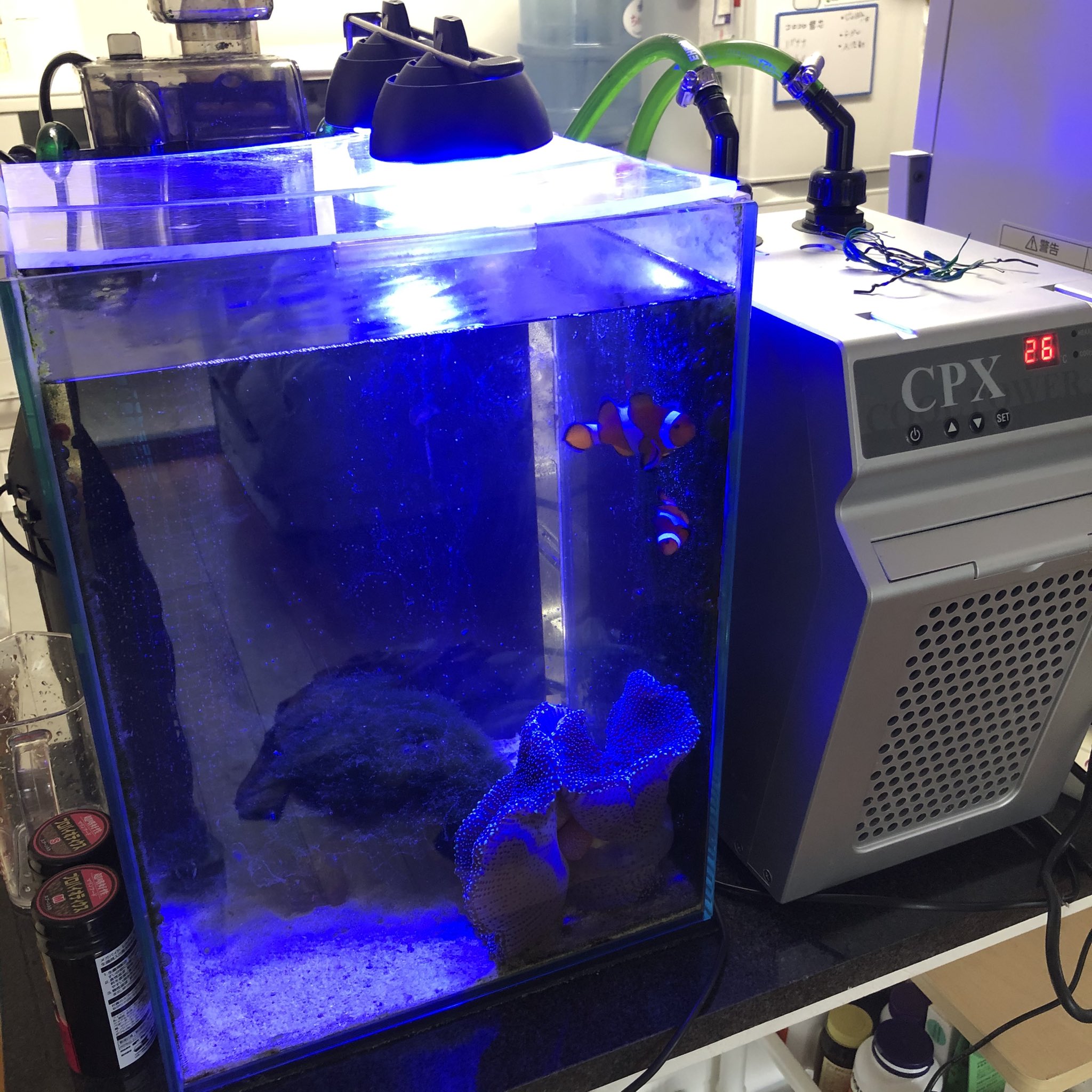 ひろかむ Hirocam002 Twitter
