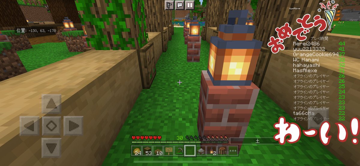 Mmorpgminecraft Mmorpgminecraft