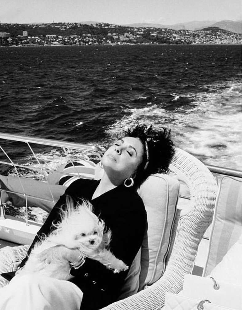 Elizabeth Taylor tweet media
