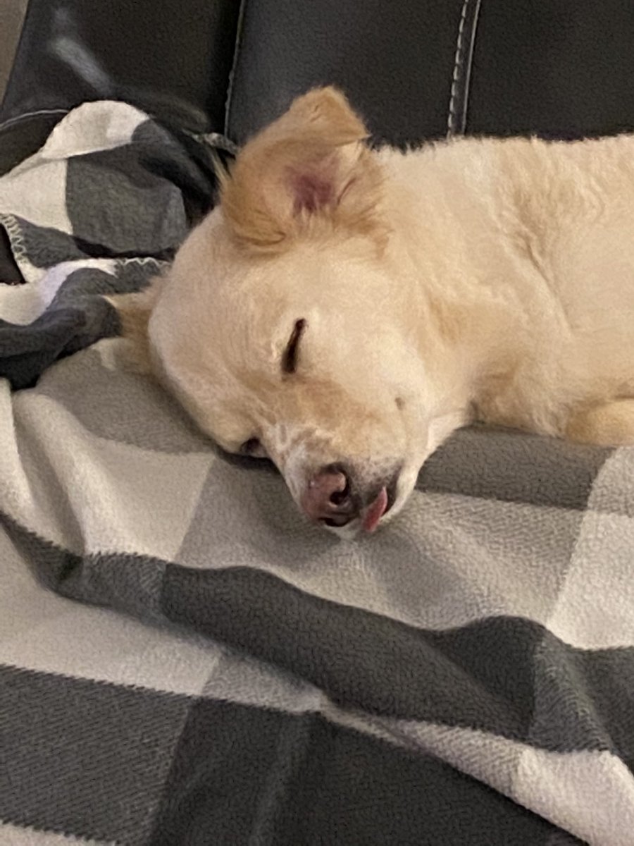 rogerapage's tweet image. There’s sleep ,and then there’s my tongue is unable to stay in my mouth kinda sleep😂😂😋 #DirtyB #Bedtime