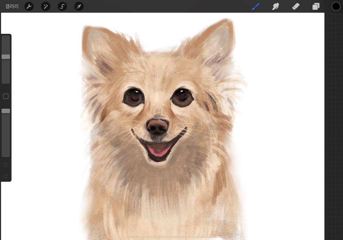 PATATAro's tweet image. 틴구네 갱얼쥐