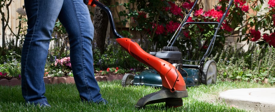 gardeningever's tweet photo. How To Use An Edge Trimmer?
#Amazon #Amazonreview #gardeningever #garden #HowToUseAnEdgeTrimmer #EdgeTrimmer #TomWilson #EvaMarie #GOPVisionForAmerica #Tuckums #MelindaGates #mnwild #JaMorant #WhiteCastle #StickerMule #Quintana
https://t.co/SgB1LR5oZd https://t.co/FgRcMJjOsS