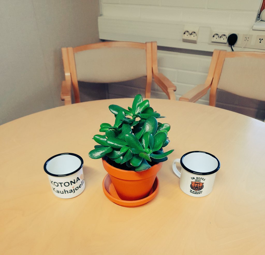 Laihialta läksijäislahjaksi saatu #rahapuu tuokoon vehreyttä Kauhajoelle🧡💚. #kauhajoki #laihia #kuntatalous