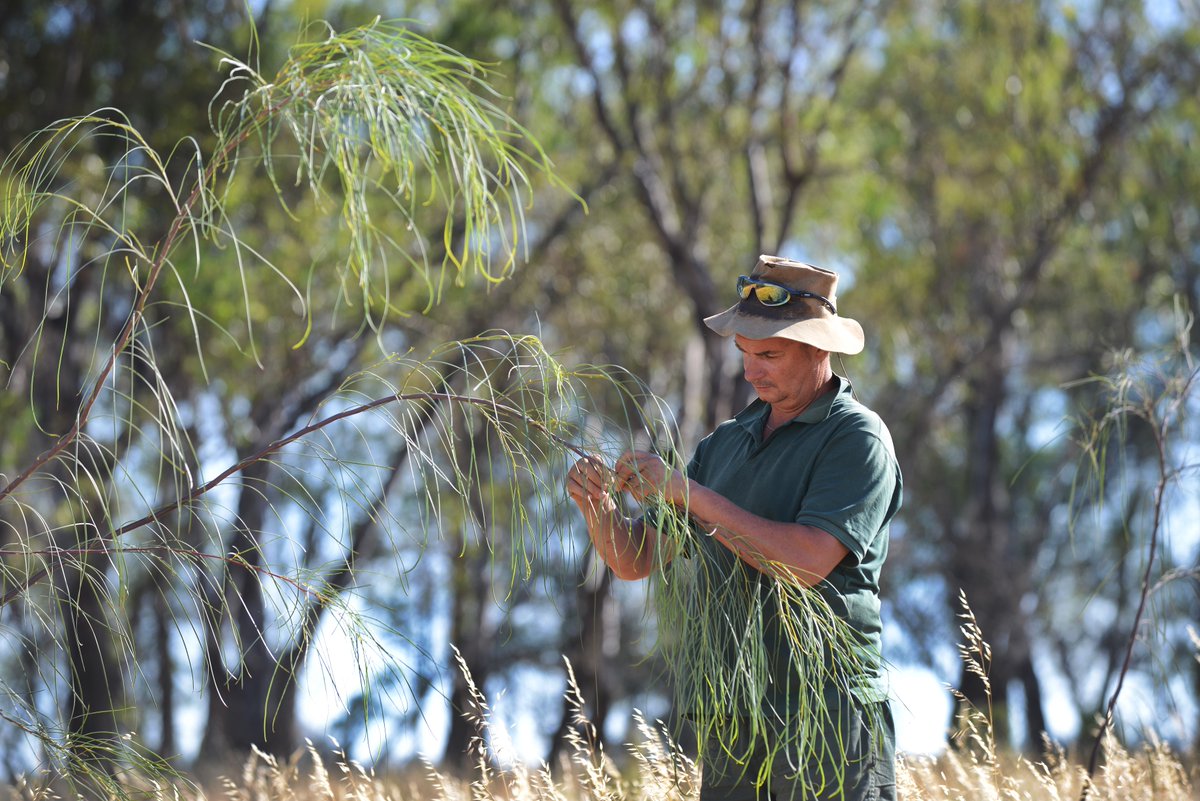 Fund Manager <a href="/KilterRural/">Kilter Rural</a> shows under-capitalised land can be regenerated to achieve commercial, environmental and social outcomes anz.co/2QPN2Jy <a href="/JimmyDunnett/">James Dunnett</a> <a href="/bennett2_mark/">Mark Bennett</a>