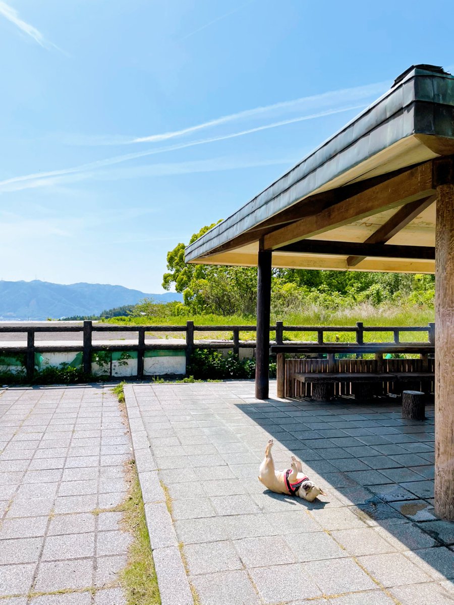 東山山頂公園 東山山頂公園