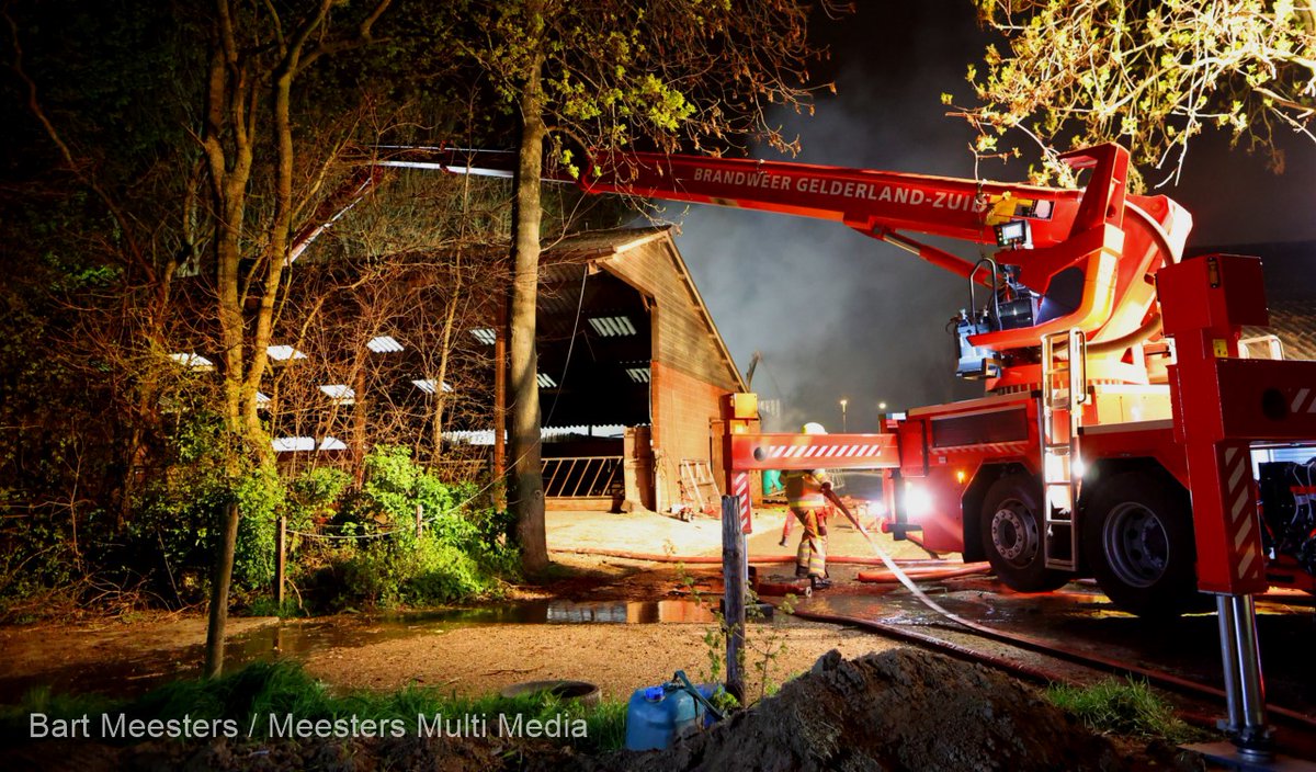 Kalf en veulen komen om bij grote brand Bruchem -..