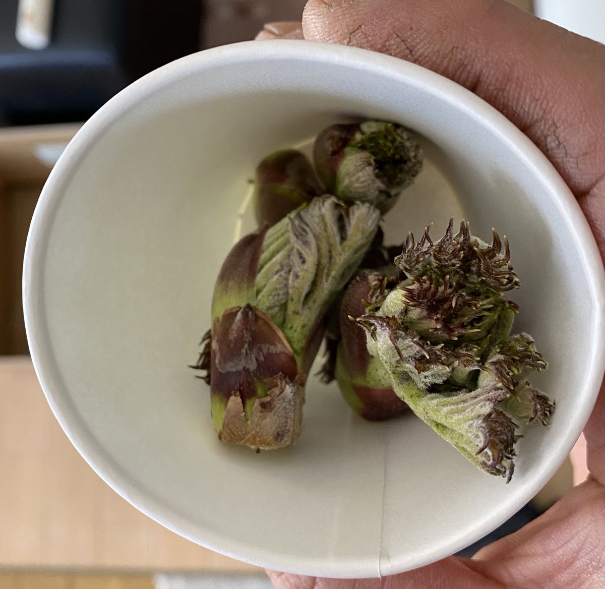 愛されるよりも愛したい