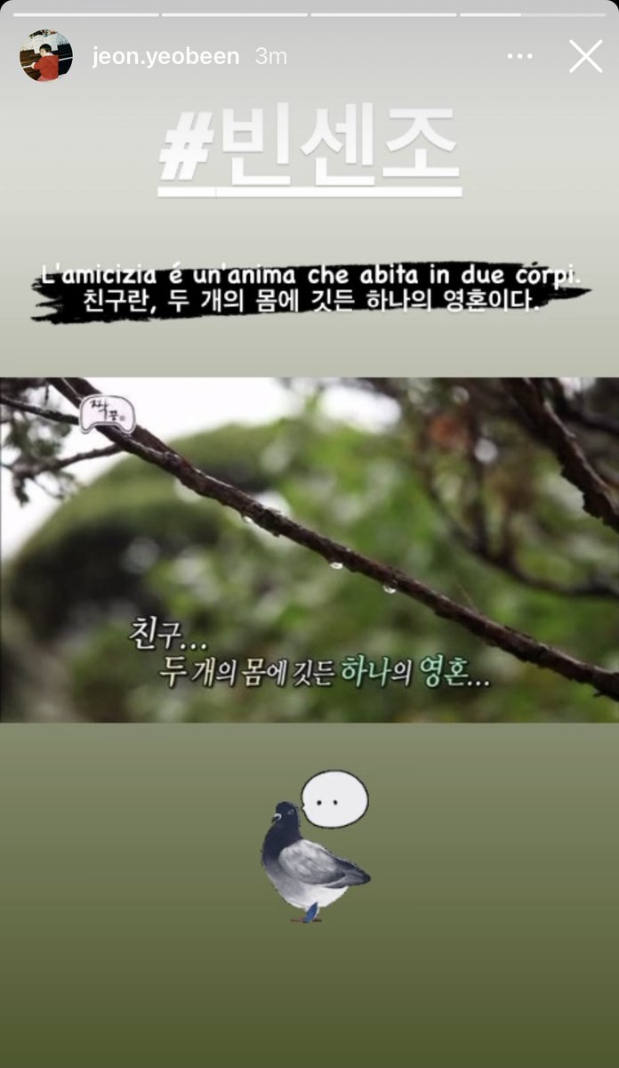 May 4, 2021  #JeonYeoBeen &  #SongJoongKi using the same captions. I AM ON CLOUD NINE NOW