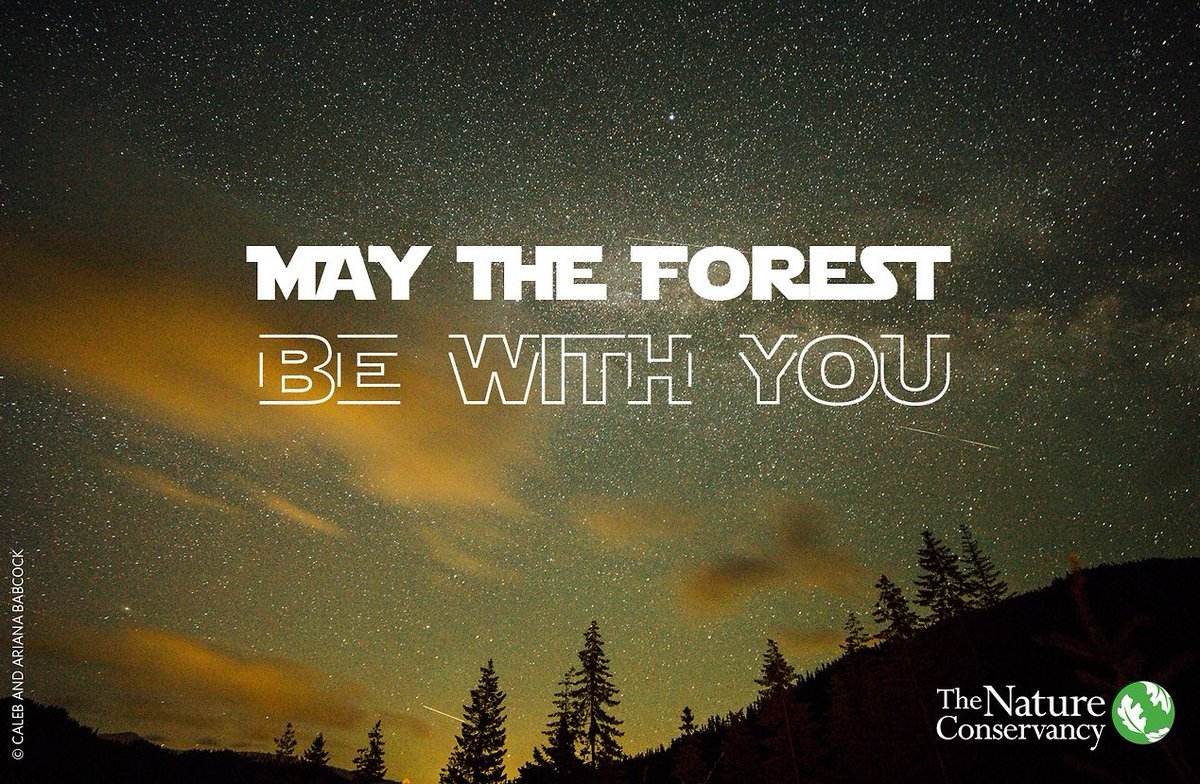 Nature IS the Force. Use it wisely.
#EarlyBiz #MayThe4thBeWithYou #nature