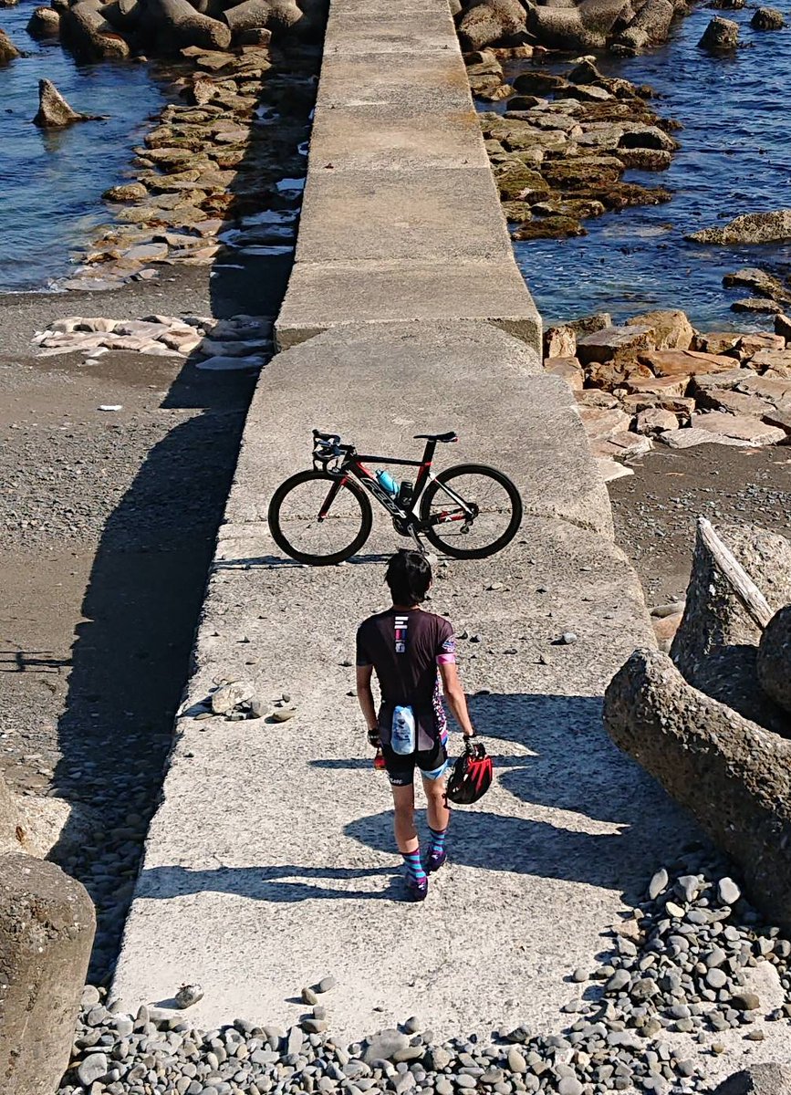 たつぽん (@wondergeppe) / Posts / X