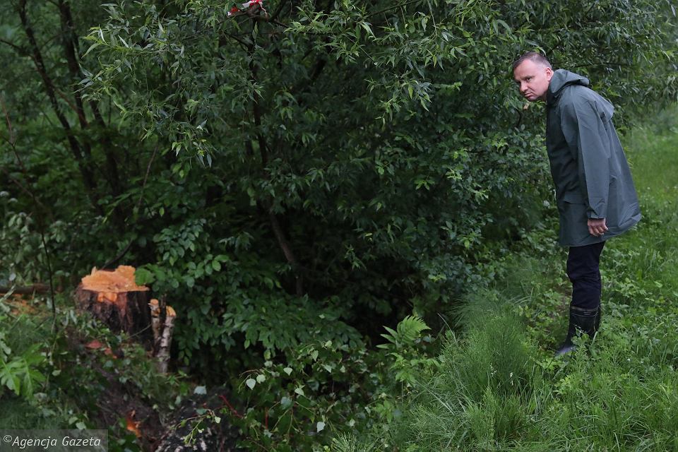 сидеть в кустах. сидеть в кустах. куст. сидеть в кустах. сидеть в кустах.