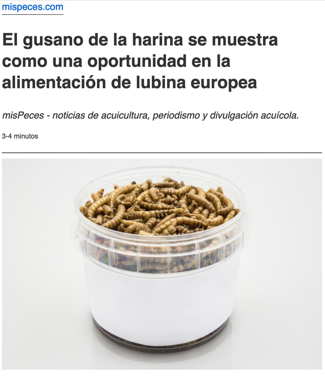 mispeces's tweet photo. Estudio de @ICBAS_UPorto, @CiimarUp, #IATS_CSIC muestra que reemplazo 80% gusano harina (Tenebrio molitor) por harina pescado en dieta lubina europea es posible sin comprometer rendimiento y calidad nutricional #Omega3 (EPA y DHA) en niveles @EFSA_EU 

📌 https://t.co/KnbKO5RzEm https://t.co/pGxt7EXqMe
