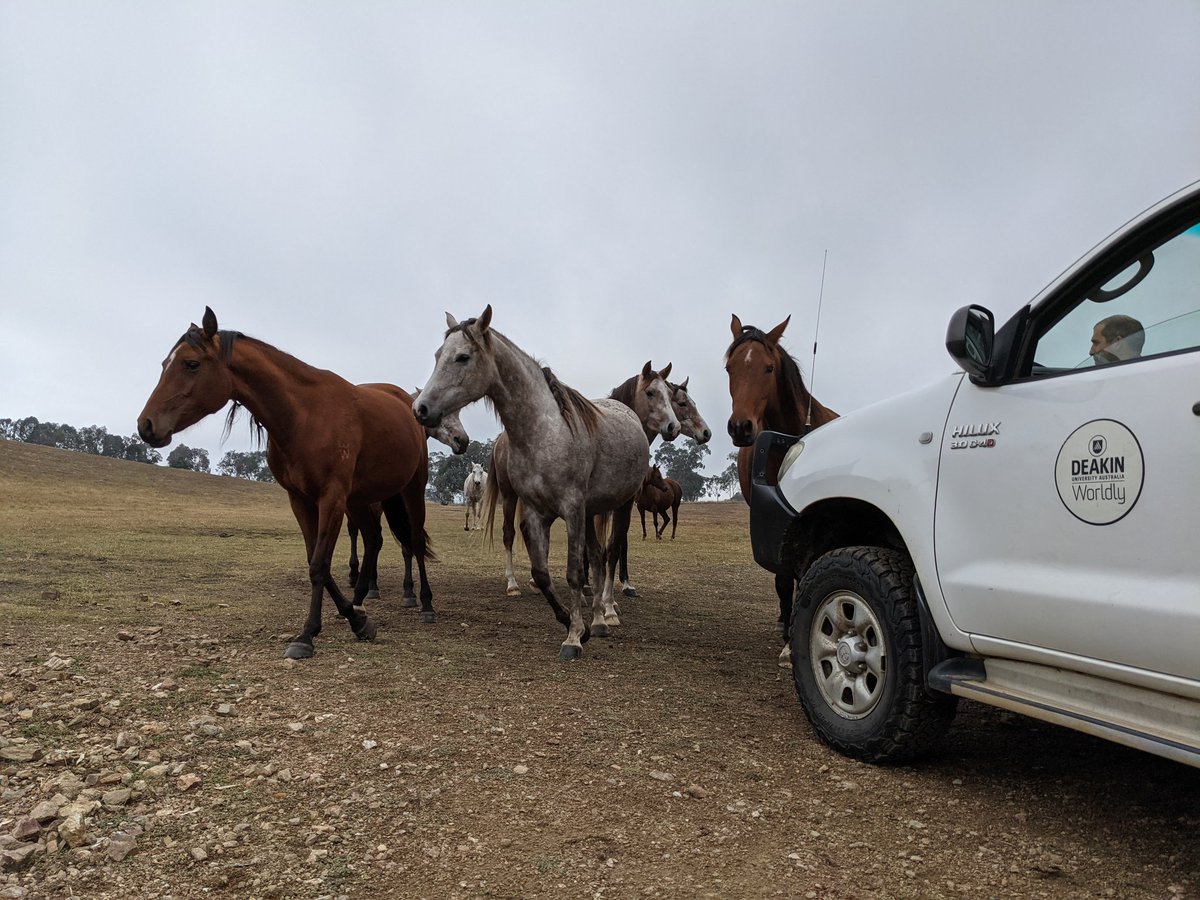 Science meets Stable 🧑‍🔬 🐎
#FarmDam at Ryan's today