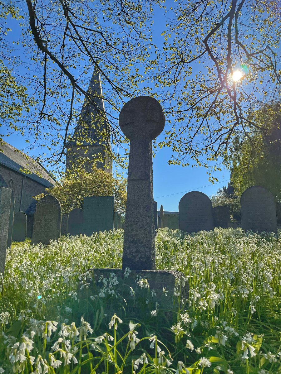 Windy out there, but it’s a beautiful time of year to walk through St Brannock’s churchyard on the way to see us at Riverside Dental #spring #northdevon #braunton #stbrannockschurch #dentist #dentalcare