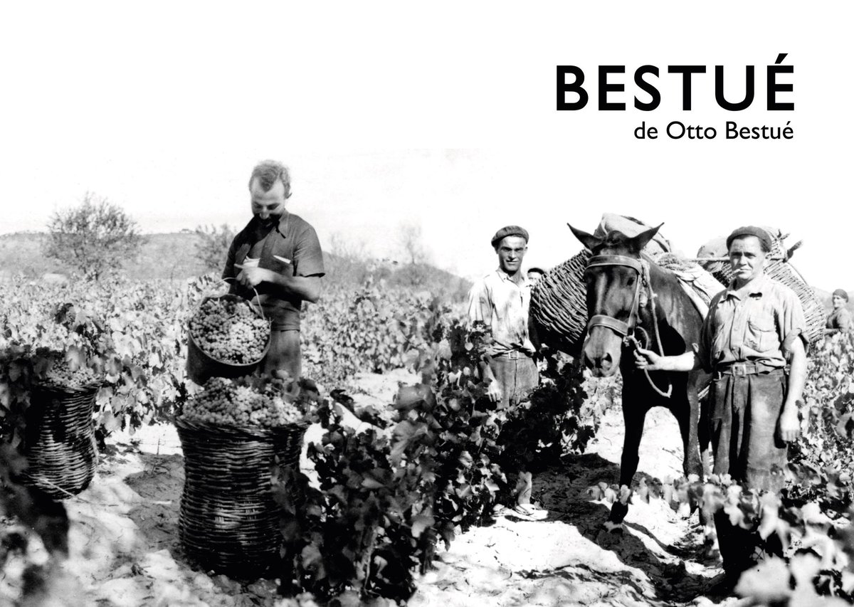 Bodega Otto Bestué tweet media