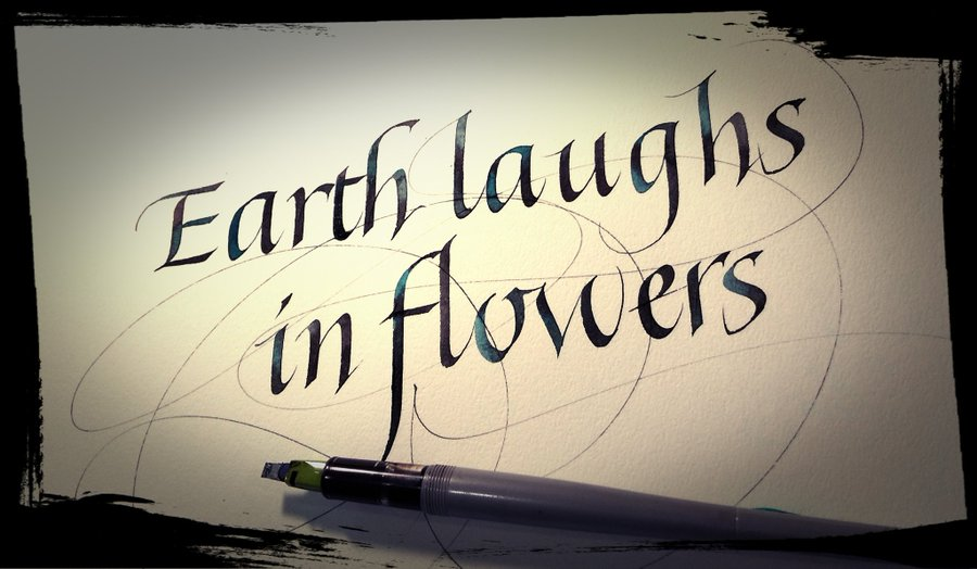 🌸Earth laughs in flowers.🌼

#PilotParallelPen でHumanist Italic
フローリシュ・ラインを加えて

#ﾍﾟﾝ１本で
#flourish_line
#HumanistItalicCursive
#flowers