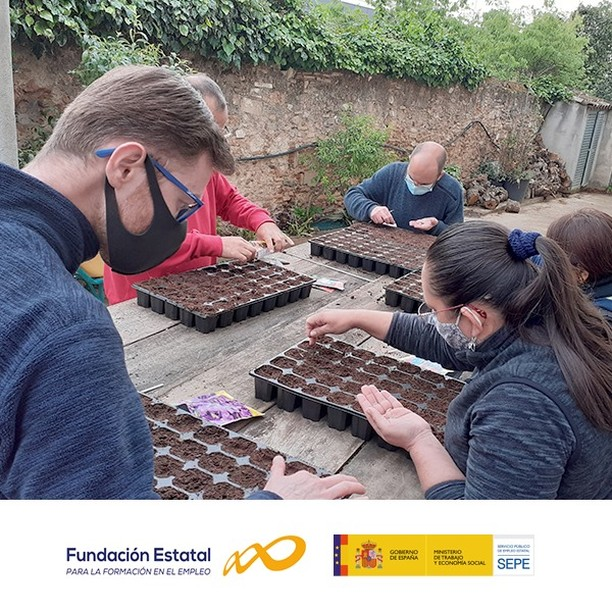 itemformacion's tweet photo. Estamos realizando las tutorías prácticas del #certificadodeprofesionalidad #AGAO0108 Act. Aux. en viveros y jardines🌱
Disponemos de una amplia oferta formativa #online y #gratuita, consulta y elige la mejor opción para ti en https://t.co/XG3Y6KrkUO
#elearning #formacion #gratis https://t.co/4bm8mgaPCk