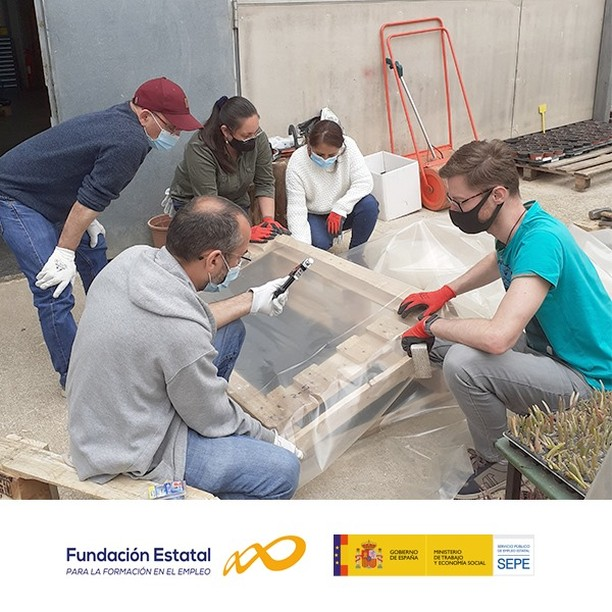 itemformacion's tweet photo. Estamos realizando las tutorías prácticas del #certificadodeprofesionalidad #AGAO0108 Act. Aux. en viveros y jardines🌱
Disponemos de una amplia oferta formativa #online y #gratuita, consulta y elige la mejor opción para ti en https://t.co/XG3Y6KrkUO
#elearning #formacion #gratis https://t.co/4bm8mgaPCk