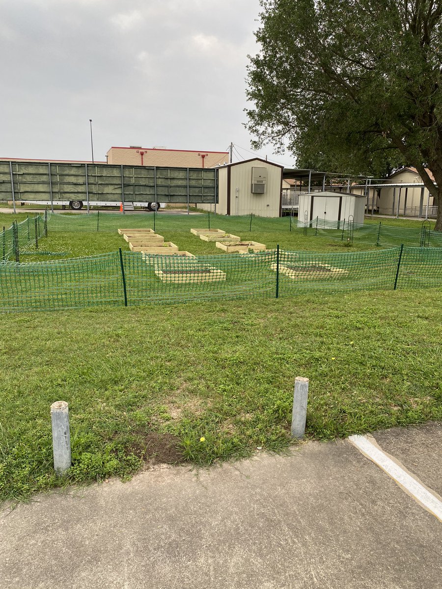 More progress in the Garden ❤️ We got action! Roses in the garden! ❤️