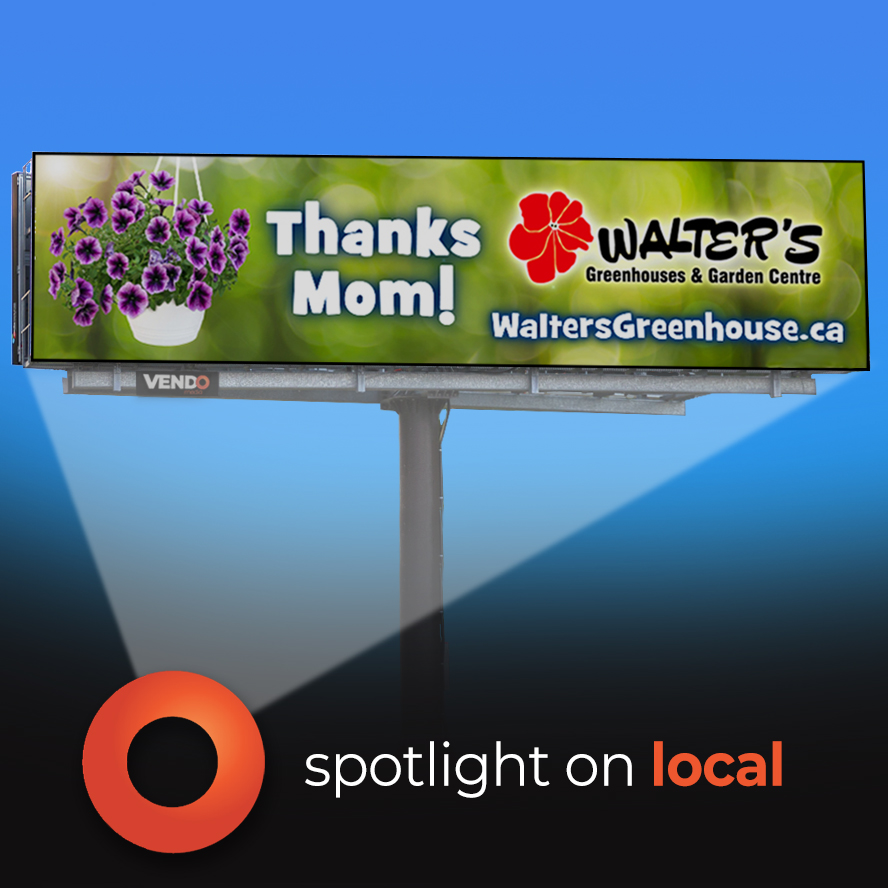 VENDO Media (@vendomediainc) on Twitter photo If you’re in the Paris, Ontario area check out this week’s Spotlight on Local, Walter’s Greenhouses and Garden Centre. Garden planning, workshops, trees, perennials & more! Open March - Dec they have your garden style. <a href="/mygardenstyle/">Walter's Greenhouses</a> waltersgreenhouse.ca #spotlightonlocal If you’re in the Paris, Ontario area check out this week’s Spotlight on Local, Walter’s Greenhouses and Garden Centre. Garden planning, workshops, trees, perennials & more! Open March - Dec they have your garden style. <a href="/mygardenstyle/">Walter's Greenhouses</a> waltersgreenhouse.ca #spotlightonlocal