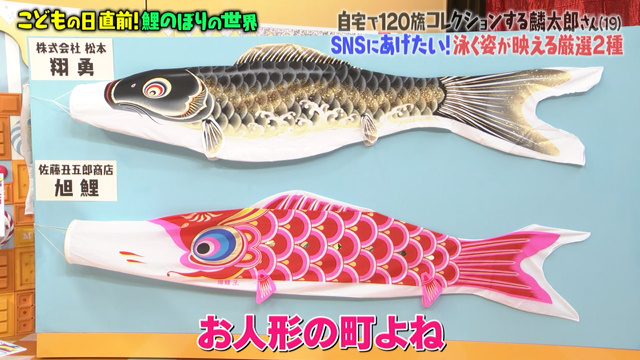 マツコさんも驚く法律で定められた5月5日の祝日の意味とは 鯉のぼりに魅せられた19歳の案内人さん登場 マツコの知らない世界 Togetter