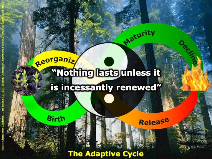 Forces of nature sb.stratbz.to/35gfVBq via <a href="/stratandbiz/">strategy+business</a> featured in Strategy+Business today! May the Fourth be with you....