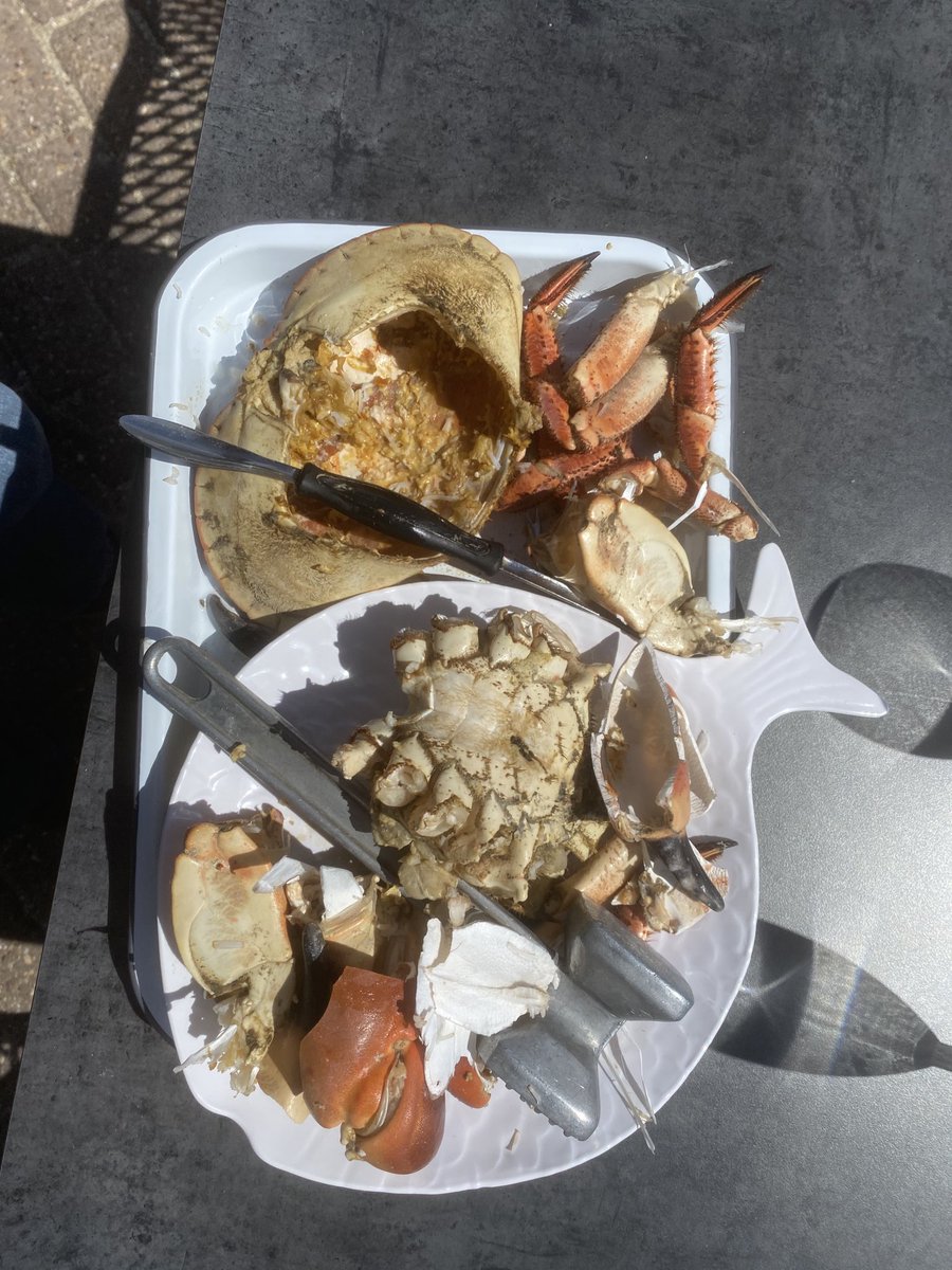 Demolished a Brixham crab with my own fair hands and now nowt left of it,in sunny Torquay
