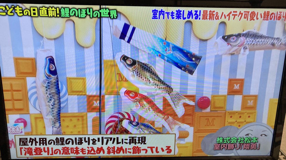 マツコの知らない世界で 鯉のぼり が話題に トレンドアットtv マツコの知らない世界で 鯉のぼり が話題に トレンドアットtv
