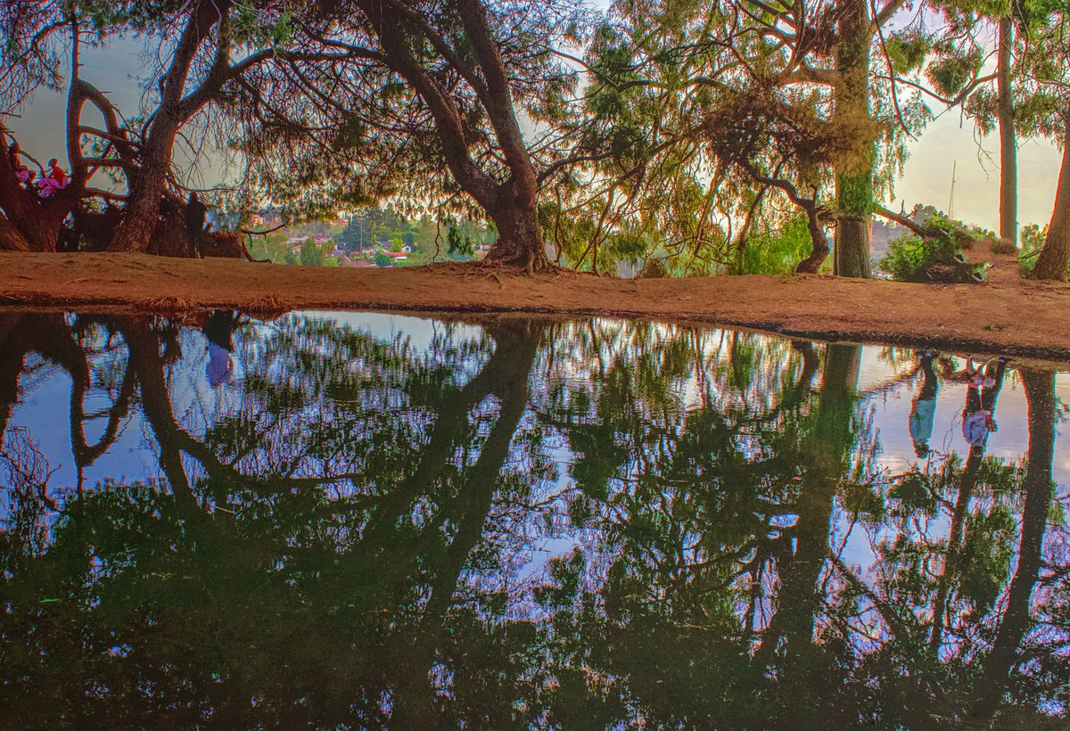 ChromeEra's tweet image. Phantom Landscapes #Synarchy