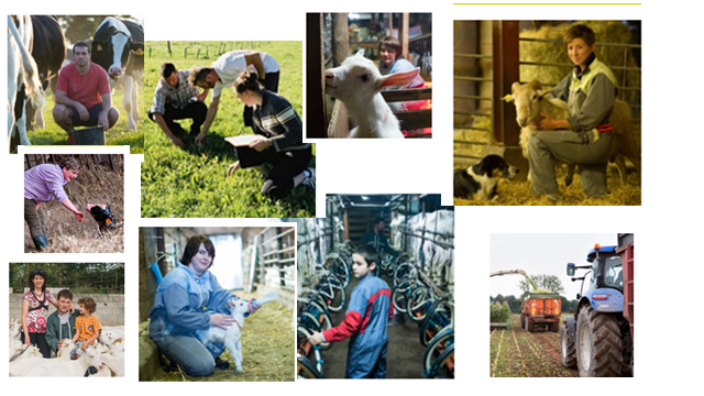 Attractiveness of dairy farming : the situation all around the world ?
⏩Give your opinion, 
⏩help us circulate this survey to people involved in dairy farming and industry
↪️
limesurvey42.idele.fr/index.php/5867…

<a href="/AnimalTaskFrc/">Animal Task Force</a> <a href="/INRAE_DPT_PHASE/">INRAE PHASE</a> <a href="/InstitutElevage/">Institut de l'élevage - Idele</a> <a href="/cniel/">CNIEL</a> <a href="/devenireleveur/">devenir éleveur</a>