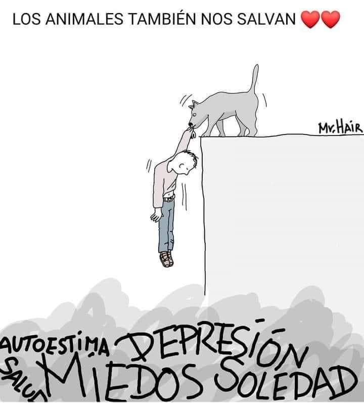 Los animales también nos salvan...