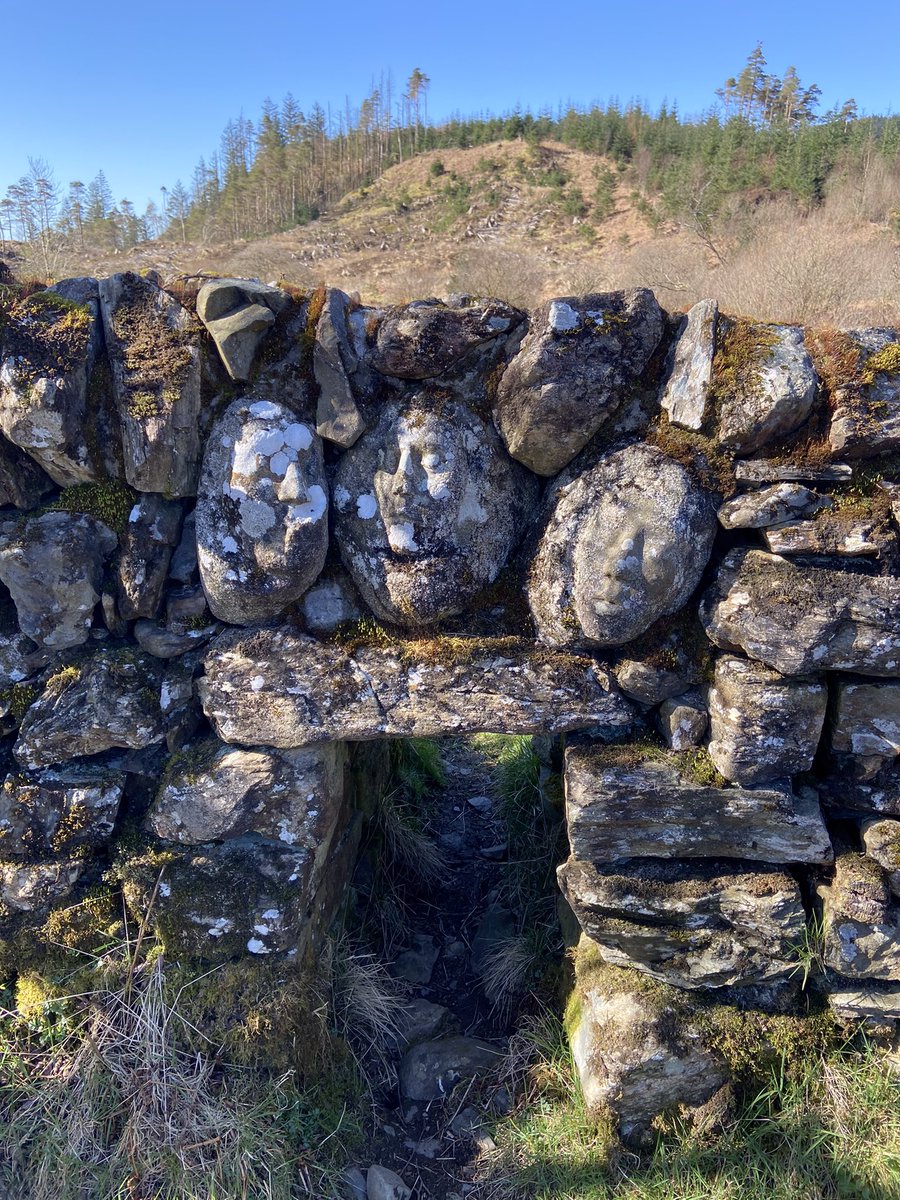 If the grey Scottish weather is getting you down then why not try choosing Big Bill and the Larking Lambs as your new spring read? 

Swipe left to see the real lunkie hole in the Galloway Forest Park that the illustration is based on! 👣

Available at: curlytalebooks.co.uk/product/big-bi…