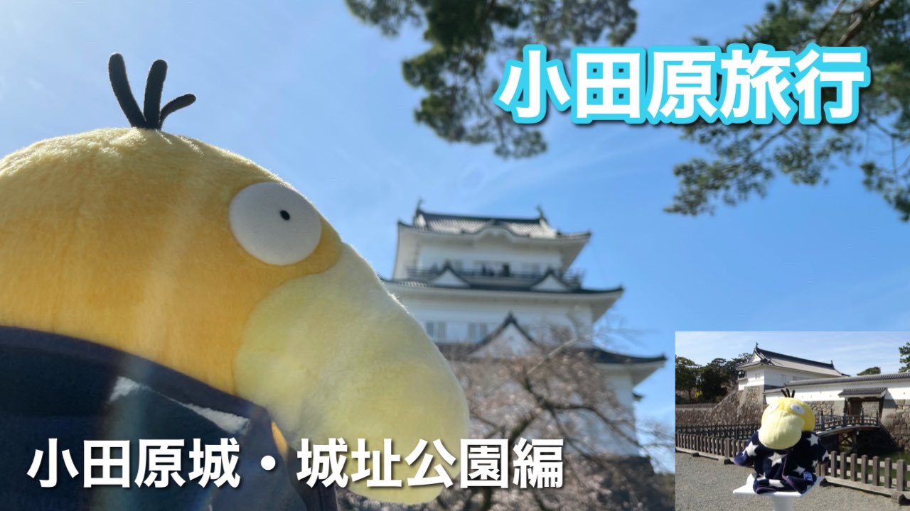 Koduck Life コダ森旅行記 桜が少し咲いたよ 小田原城 城址公園編 T Co Hsen59mc3b Youtubeより 以前 小田原観光した動画が出来ました ご視聴して下さると嬉しいです よろしくお願い致します コダック ポケモンコダック コダック