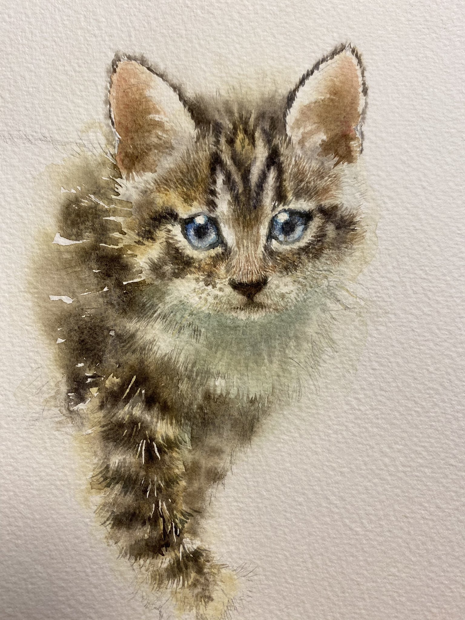 猫の絵 268 水彩画 原画 三毛猫｜Yahoo!フリマ（旧PayPayフリマ）