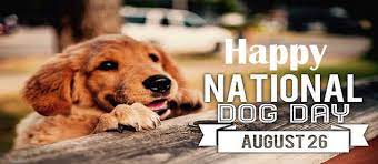 WelfarePaws's tweet photo. This year World Dog day is placed on the 26th august by attending group meets and events you will help the cause without having to work or give any money just by being at a social event it is spreading awareness  for the dogs (Image came from google) https://t.co/RYbk5OGlYE