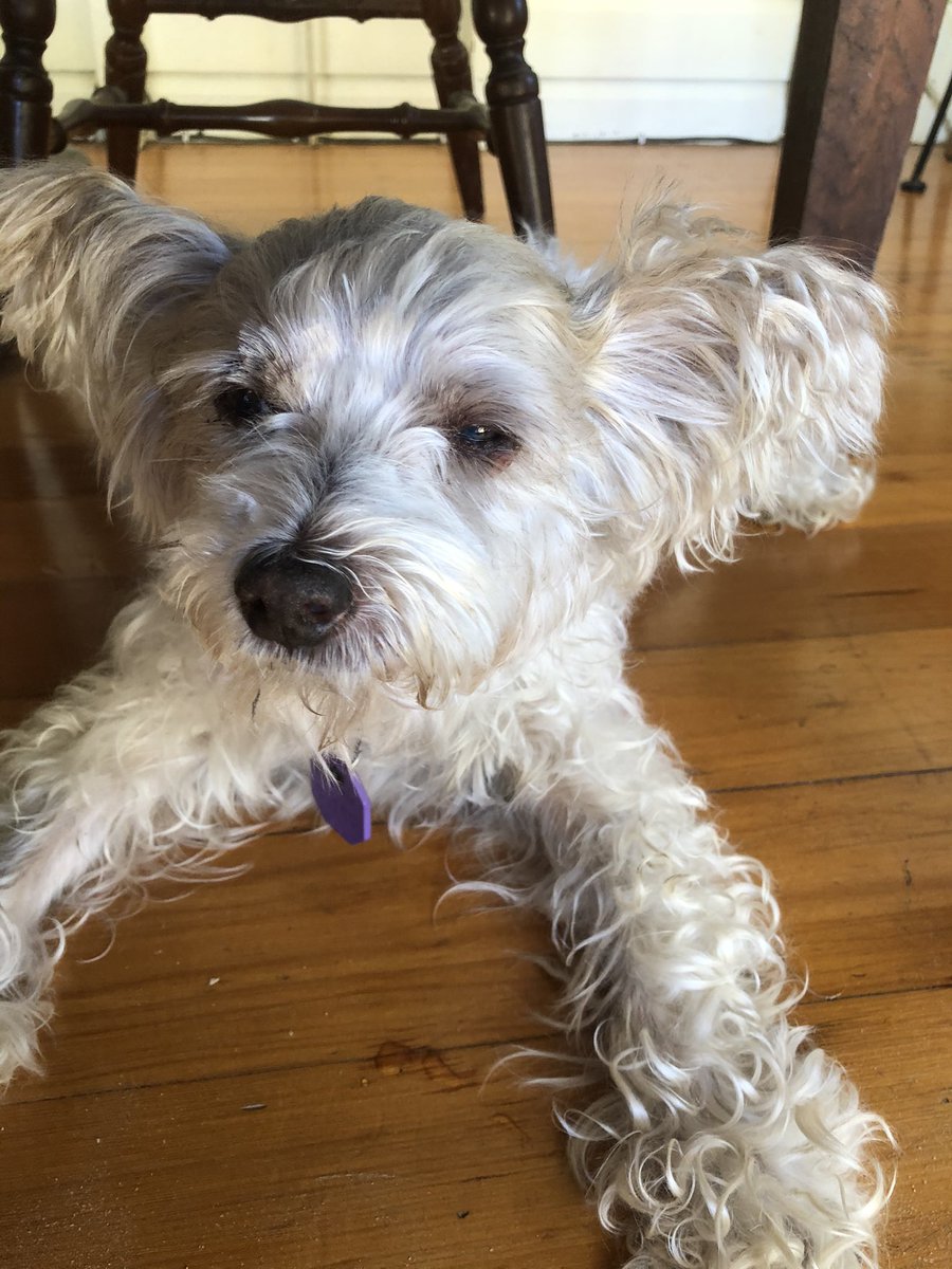 Jeff Warner tweet media