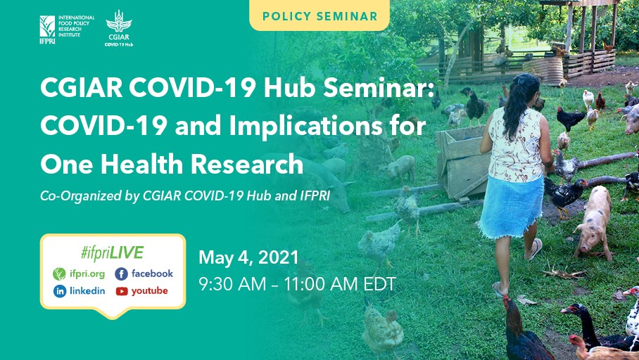 ILRI.org (@ilri) on Twitter photo 📢 TODAY @ 9:30am EDT / 4.30pm EAT #IFPRIPolicySeminar:
Watch #ifpriLIVE here:
👉bit.ly/CGIARcovid-19h…
👉 bit.ly/CGIARcovid-19h…
👉bit.ly/ifpriLI
👉bit.ly/ifpriYT
<a href="/A4NH_CGIAR/">A4NH_CGIAR</a> <a href="/JeffWaage/">Jeff Waage</a> <a href="/babonfoh/">Bonfoh Bassirou (Bass)</a> <a href="/ProfNitish/">Prof Nitish Debnath</a> <a href="/jefasierra/">Julia E. Fa</a> #OneCGIAR 📢 TODAY @ 9:30am EDT / 4.30pm EAT #IFPRIPolicySeminar:
Watch #ifpriLIVE here:
👉bit.ly/CGIARcovid-19h…
👉 bit.ly/CGIARcovid-19h…
👉bit.ly/ifpriLI
👉bit.ly/ifpriYT
<a href="/A4NH_CGIAR/">A4NH_CGIAR</a> <a href="/JeffWaage/">Jeff Waage</a> <a href="/babonfoh/">Bonfoh Bassirou (Bass)</a> <a href="/ProfNitish/">Prof Nitish Debnath</a> <a href="/jefasierra/">Julia E. Fa</a> #OneCGIAR