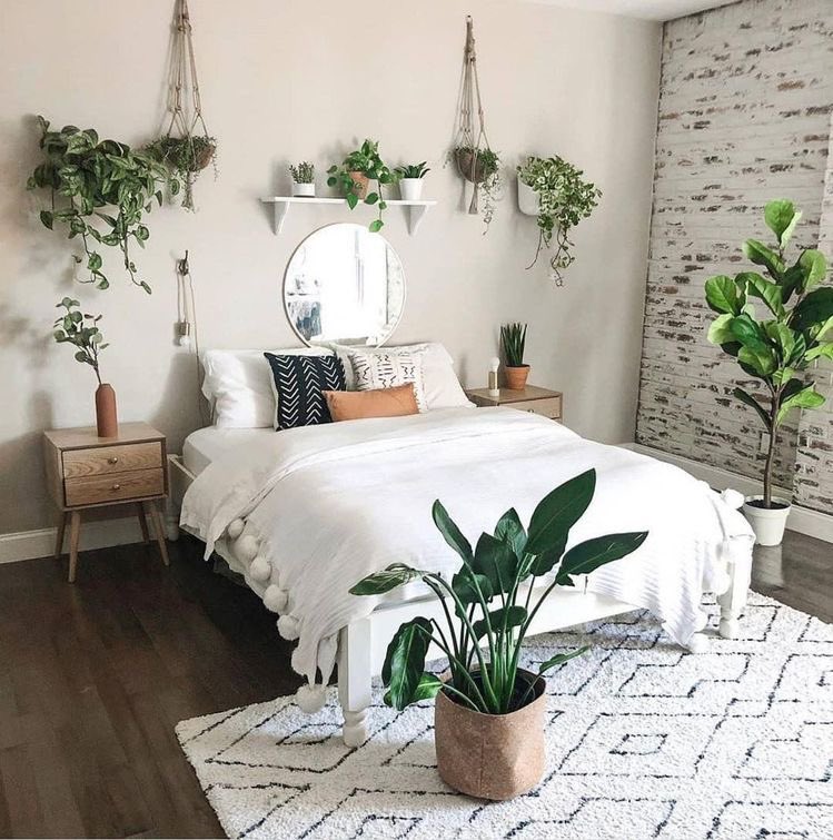 النباتات الطبيعية في غرف النوم