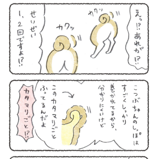 ◯しっぽ振らない犬なんだと思ってたら違った話
https://t.co/NnVJDwnhDC 