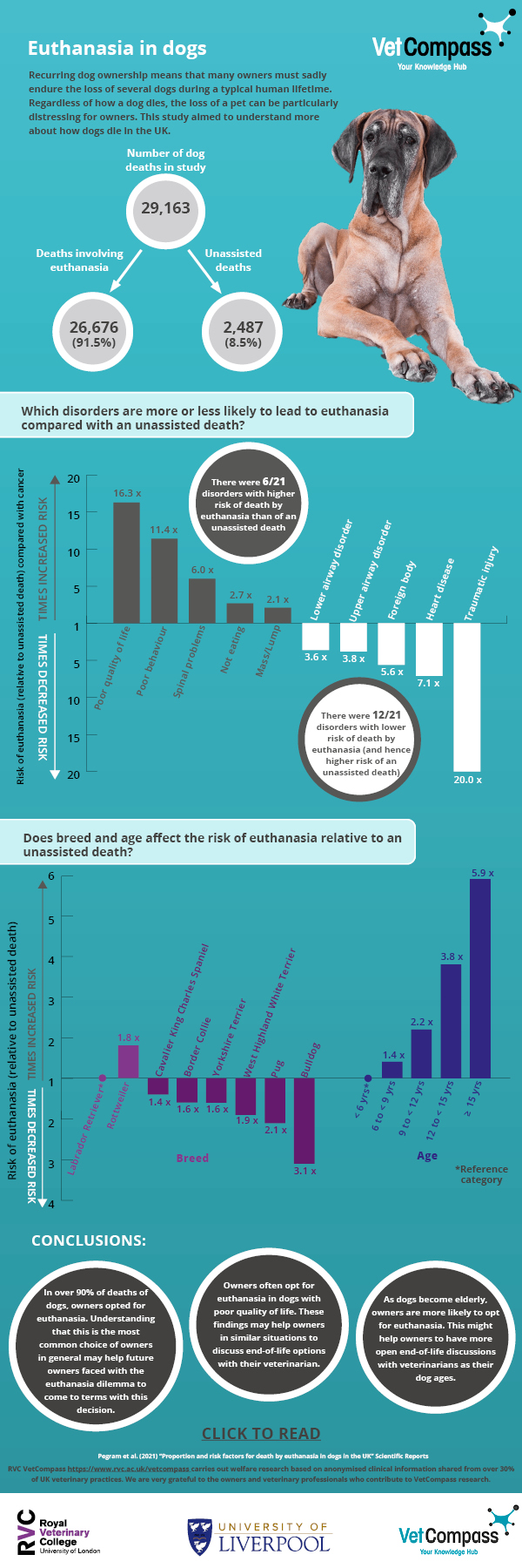 VetCompass on X: 🐹Infographic for the latest paper of the health of pet  hamsters in the UK: Infographic can be accessed here:    / X