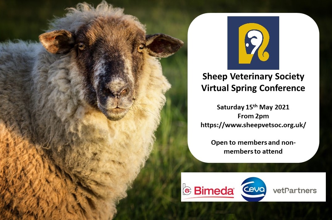 SheepVetsoc's tweet photo. Registration is open for our Spring virtual conference on Sat 15th May from 2pm.  Conference is open to members and non members. #sheep 
For more info https://t.co/WucxPgQ4Iv https://t.co/4H0Ml0N54t