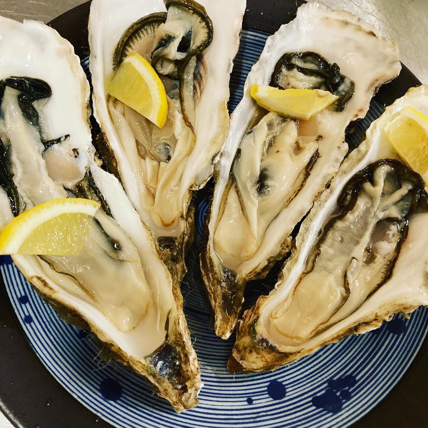 銘酒と割鮮 桃林 生牡蠣パーティー開催中 桃林 とうりん 居酒屋 札幌居酒屋 大通居酒屋 刺身 海鮮 雲丹 牡蠣 和牛 日本酒 ワイン 札幌 大通 狸小路 すすきの 飯テロ 札幌グルメ 真心 食べらさる 呑まさる さるわぁ 支配犬