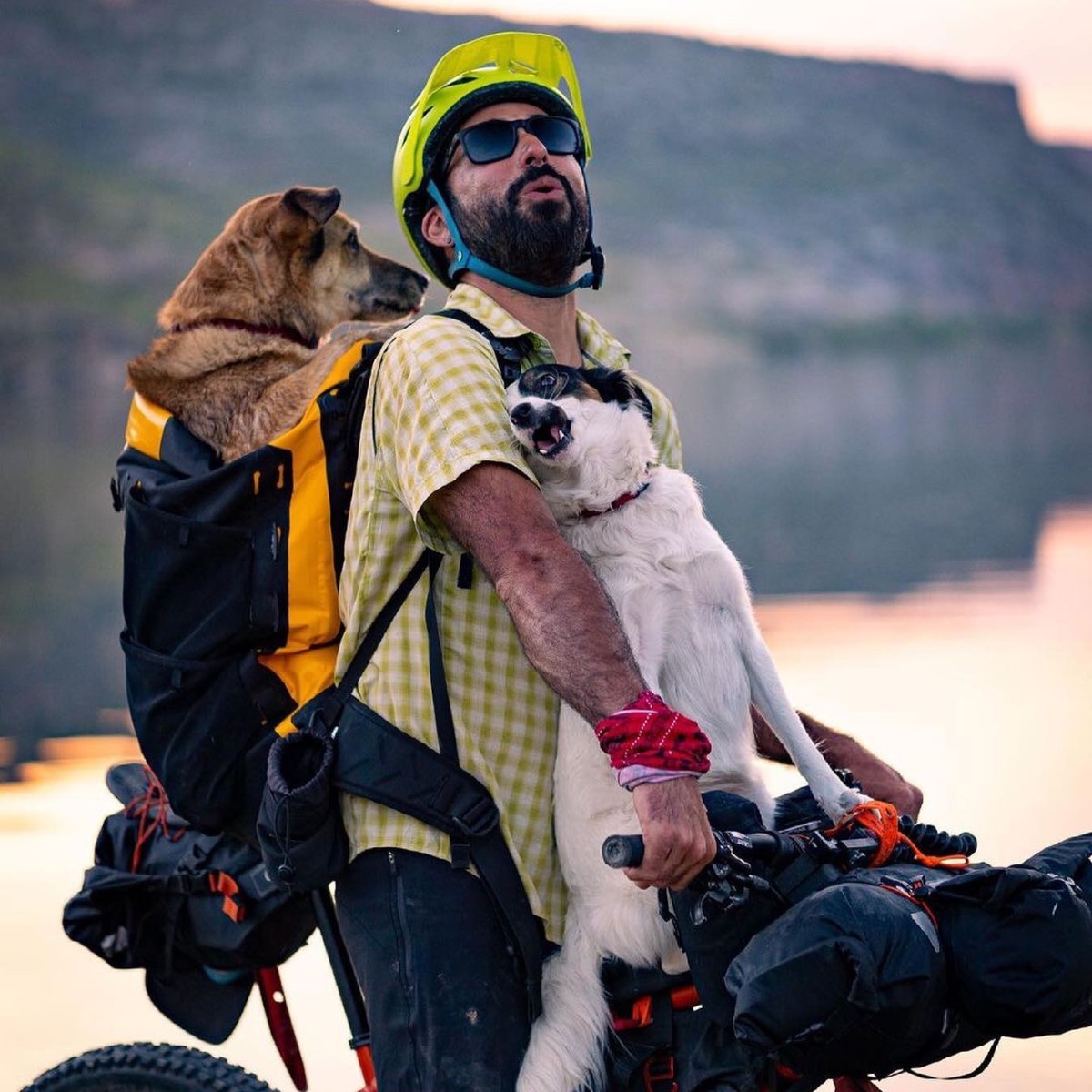 Repost <a href="/bikecanine/">Pablo & Hippie</a> 
🔥NEXT LEVEL🔥

This is how it is to bikepacking with two dogs!

Hippie already knows how to go inside a backpack and Pizza knows how to go on the handlebars.  What you see in the photo has been a training session. 💪🏼💪🏼💪🏼