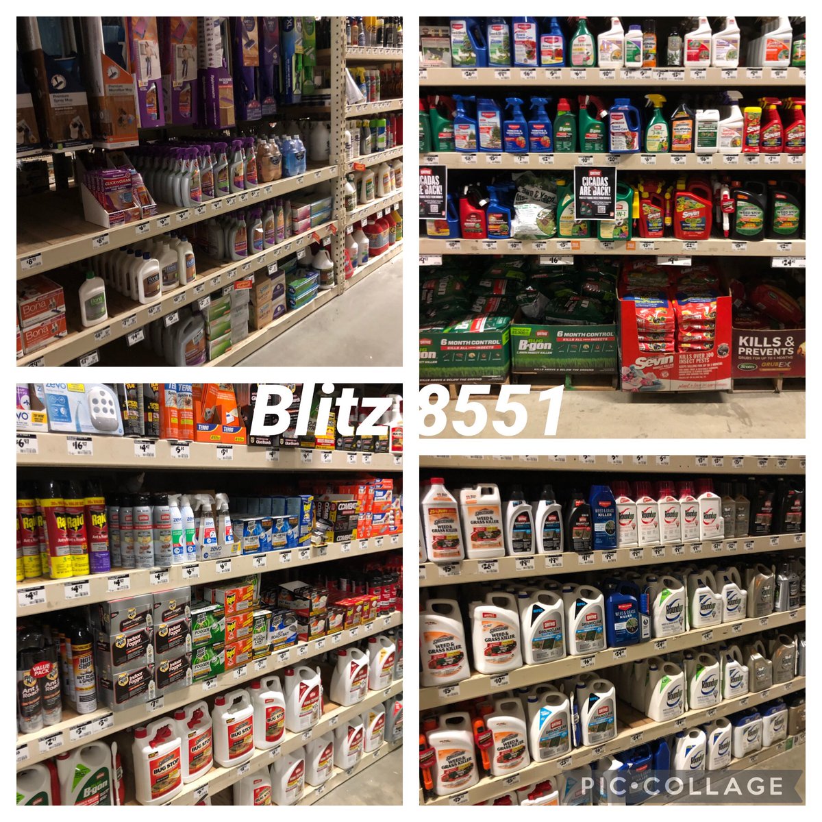 Ben Wright tweet media