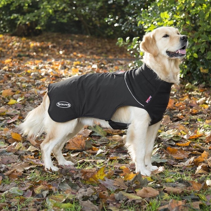 Winter Warmer 

The @scruffssouthafrica Thermal Self-Heating Dog Coat provides warmth to your dog’s muscles on those brisk morning walks. 🐶

A softshell exterior gives the coat excellent protection against wind and rain while retaining its breathable qualities.